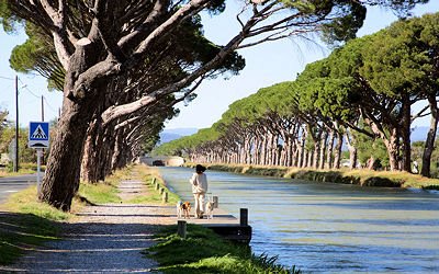 Vid byn går Canal du Midi - sköna promenader, bara 3 km till havet!